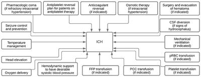 Contribution of Various Types of Transfusion to Acute and Delayed Intracerebral Hemorrhage Injury
